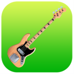 Pro Bass for PC