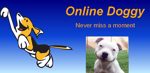 ODoggy PC screenshot