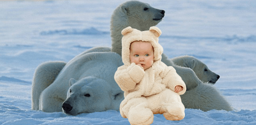 Animal Photo Frames 2018 PC screenshot