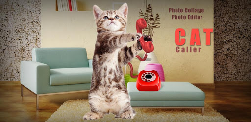 Kitty Cat Caller Prank PC screenshot
