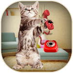 Kitty Cat Caller Prank for PC