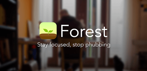 Forest: Stay focused PC screenshot