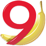 Banana Accounting Mobile for PC