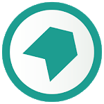 Catch-Car icon