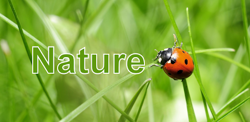 Nature Free - Europe PC screenshot Nature Free - Europe PC screenshot