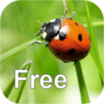 Nature Free - Europe icon