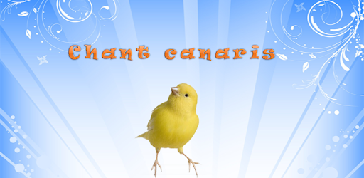 canary song PC screenshot