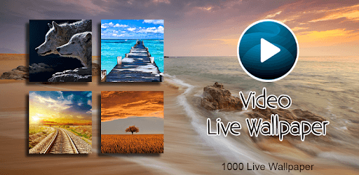 HD Video Live Wallpaper - 4K HD Backgrounds for PC - Free Download ...