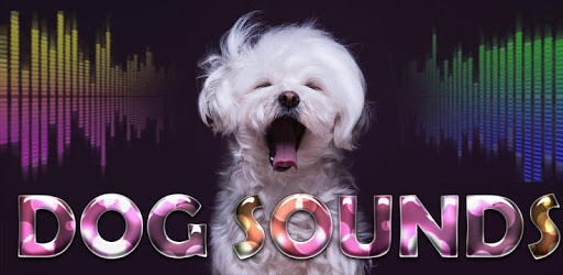 Top Dog Sounds PC screenshot
