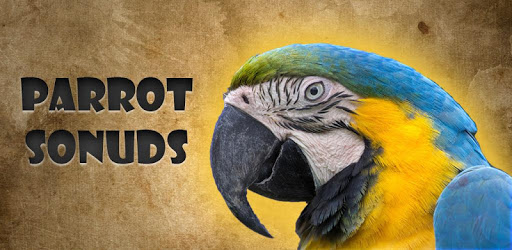 Parrot Sounds PC screenshot