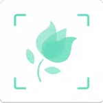 形色 icon