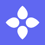Bloom - Secure Identity for PC Bloom - Secure Identity for PC