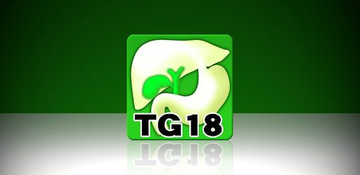Tokyo Guidelines (TG18) PC screenshot