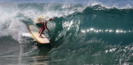 NobodySurf - Surf Video Search & Playlists PC screenshot NobodySurf - Surf Video Search & Playlists PC screenshot