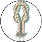 Basic Ropes and Knots Guide for Survival for PC Basic Ropes and Knots Guide for Survival for PC