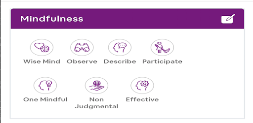 DBT Coach PC screenshot
