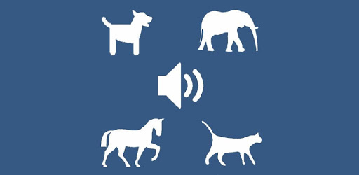 Animal Sounds + Game PC screenshot Animal Sounds + Game PC screenshot