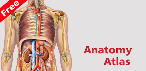 Anatomy Atlas PC screenshot