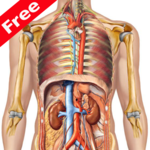 Anatomy Atlas for PC