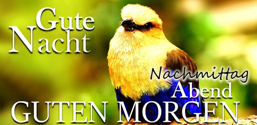 Guten Morgen bis Gute Nacht wünscht Zitate PC screenshot Guten Morgen bis Gute Nacht wünscht Zitate PC screenshot