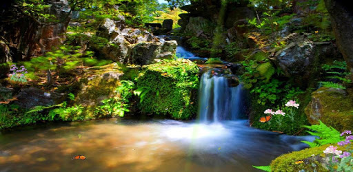 Animated Background Gif PC screenshot Animated Background Gif PC screenshot