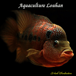 Aquaculture Louhan for PC Aquaculture Louhan for PC