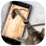 Mouse for Cats Simulator for PC
