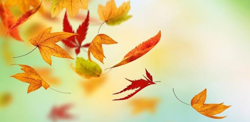 Autumn Photo Frames PC screenshot Autumn Photo Frames PC screenshot
