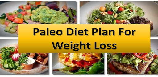 Paleo Diet Plan For Weight Loss PC screenshot