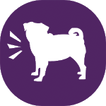 Bad Pug for PC Bad Pug for PC