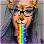 Photo Filters & Stickers for PC