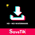 Video Downloader for TikTok - No Watermark SaveTik icon