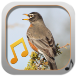 Bird Sounds Ringtones Collection icon