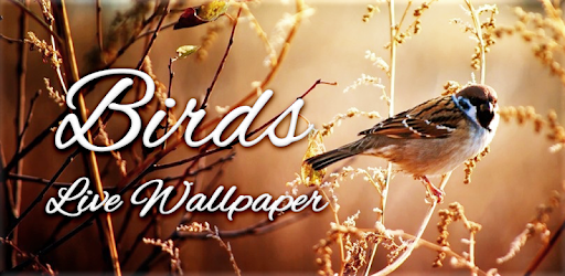 Birds Live Wallpaper PC screenshot