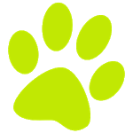 Budget Pet Products icon