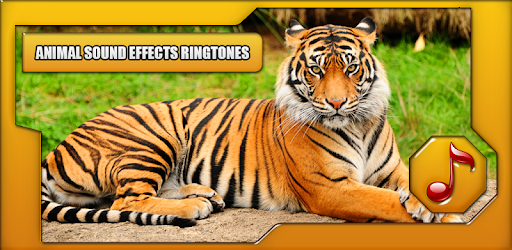 Animal Sounds Ringtones Free PC screenshot Animal Sounds Ringtones Free PC screenshot