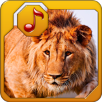 Animal Sounds Ringtones Free for PC Animal Sounds Ringtones Free for PC