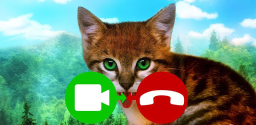 fake call video cat game PC screenshot fake call video cat game PC screenshot
