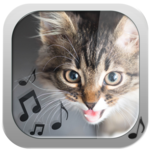 Cat Ringtones – Meow Sounds for PC