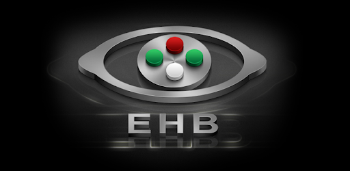 Eye Handbook PC screenshot