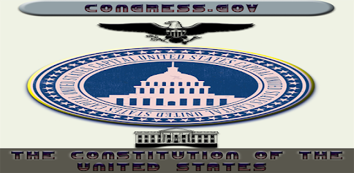U.S Constitution + Amendments PC screenshot