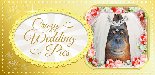 Crazy Wedding Pic-Face in Hole PC screenshot Crazy Wedding Pic-Face in Hole PC screenshot