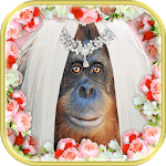 Crazy Wedding Pic-Face in Hole for PC Crazy Wedding Pic-Face in Hole for PC