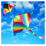 Basant The Kite Fight icon