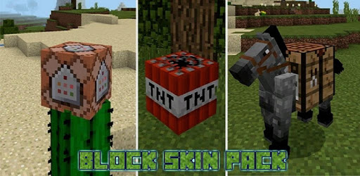 Block Skins Pack for MCPE PC screenshot Block Skins Pack for MCPE PC screenshot