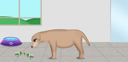 dog pregnancy surgery 2 PC screenshot