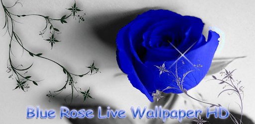 Blue Rose Live Wallpaper HD PC screenshot