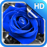 Blue Rose Live Wallpaper HD for PC