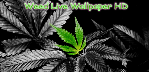 Weed Wallpaper PC screenshot Weed Wallpaper PC screenshot