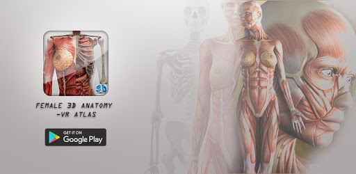 Female 3d anatomy - VR Atlas PC screenshot